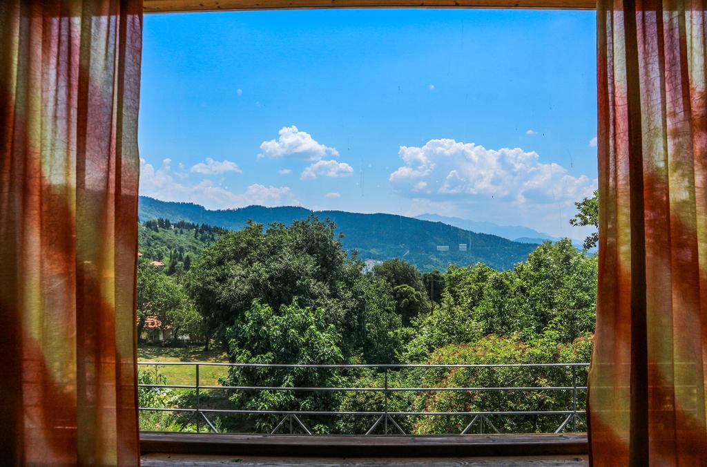 Hotel Elatofilito Athamanio Dış mekan fotoğraf