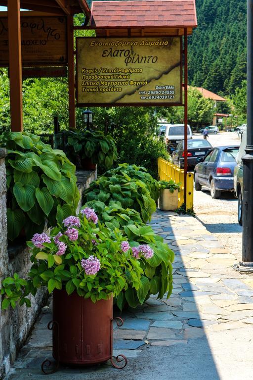 Hotel Elatofilito Athamanio Dış mekan fotoğraf