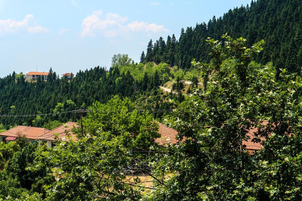 Hotel Elatofilito Athamanio Dış mekan fotoğraf