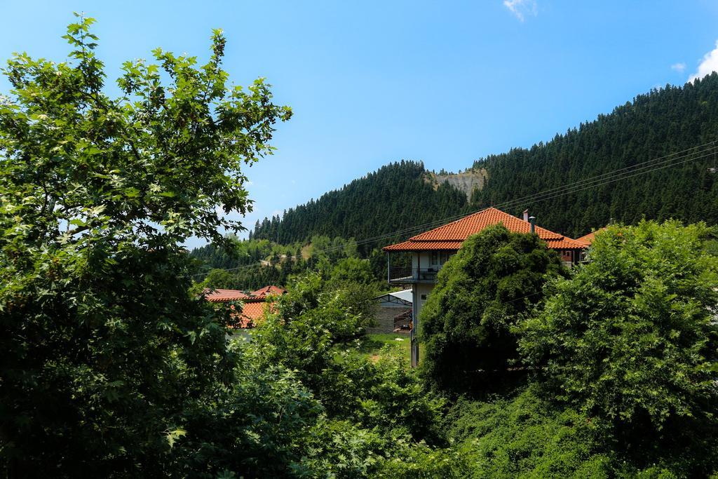Hotel Elatofilito Athamanio Dış mekan fotoğraf